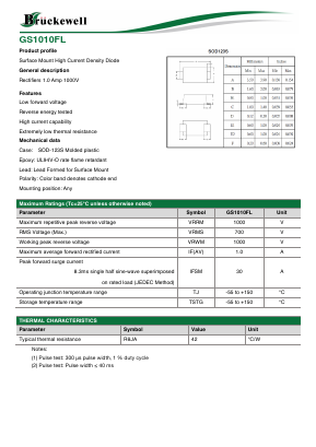 GS1010FL Datasheet PDF Bruckewell Technology LTD