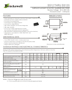 SS110 Datasheet PDF Bruckewell Technology LTD