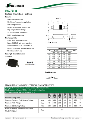 RS07M Datasheet PDF Bruckewell Technology LTD