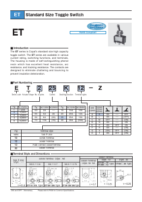 ET130K10-Z Datasheet PDF Copal Electronics