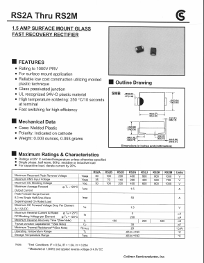 RS2A Datasheet PDF Collmer Semiconductor