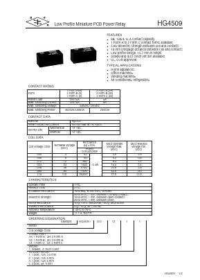 HG4509/012-1Z13 Datasheet PDF ETC