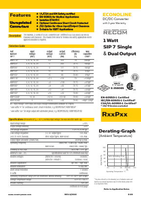 R05P09S/P/X2 Datasheet PDF ETC