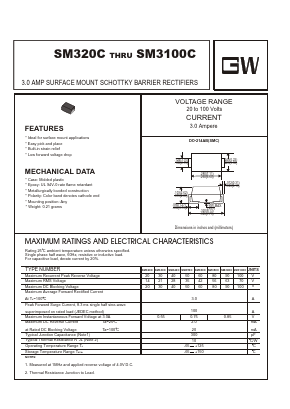 SM3100C Datasheet PDF ETC2