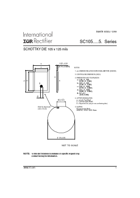 SC105H100A5F Datasheet PDF International Rectifier