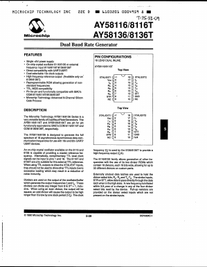 AY58136/P006 Datasheet PDF Microchip Technology