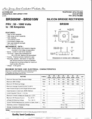 BR5002W Datasheet PDF New Jersey Semiconductor