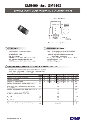 SM5401 Datasheet PDF PACELEADER INDUSTRIAL