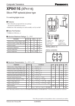 XP0411600L Datasheet PDF Panasonic Corporation