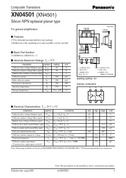 XN04501 Datasheet PDF Panasonic Corporation