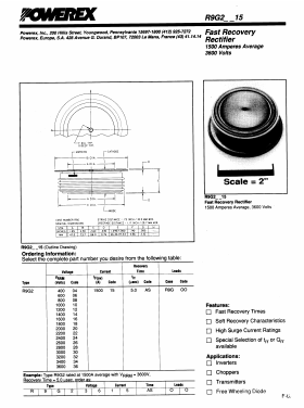 R9G20615AS Datasheet PDF Powerex