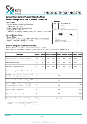 1N4007G Datasheet PDF SHIKE Electronics