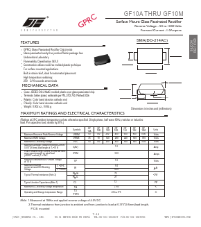 GF10M Datasheet PDF Unspecified2